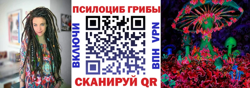 купить наркотики сайты Дальнереченск Псилоцибиновые грибы Psilocybine cubensis