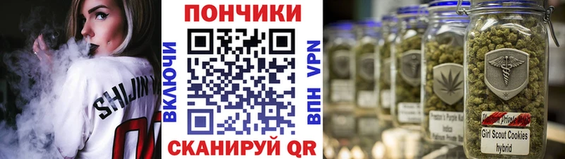 где продают наркотики  Дальнереченск  Шишки марихуана индика 